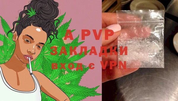 круглые Белокуриха