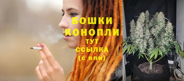 круглые Белокуриха