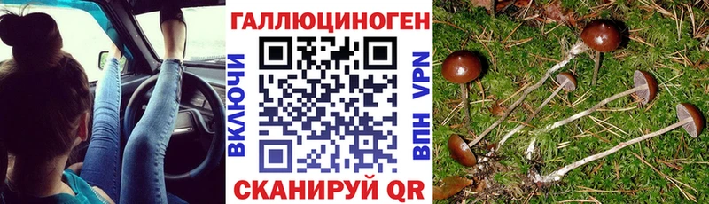 Псилоцибиновые грибы ЛСД  Купить  Данилов 